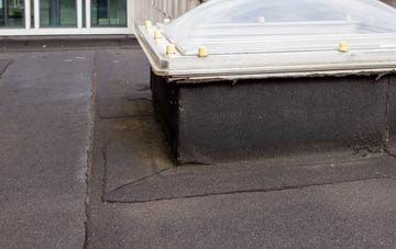 disadvantages of Balkholme flat roofs